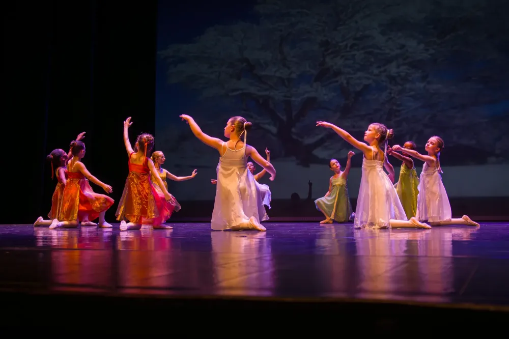 danse classique (2)