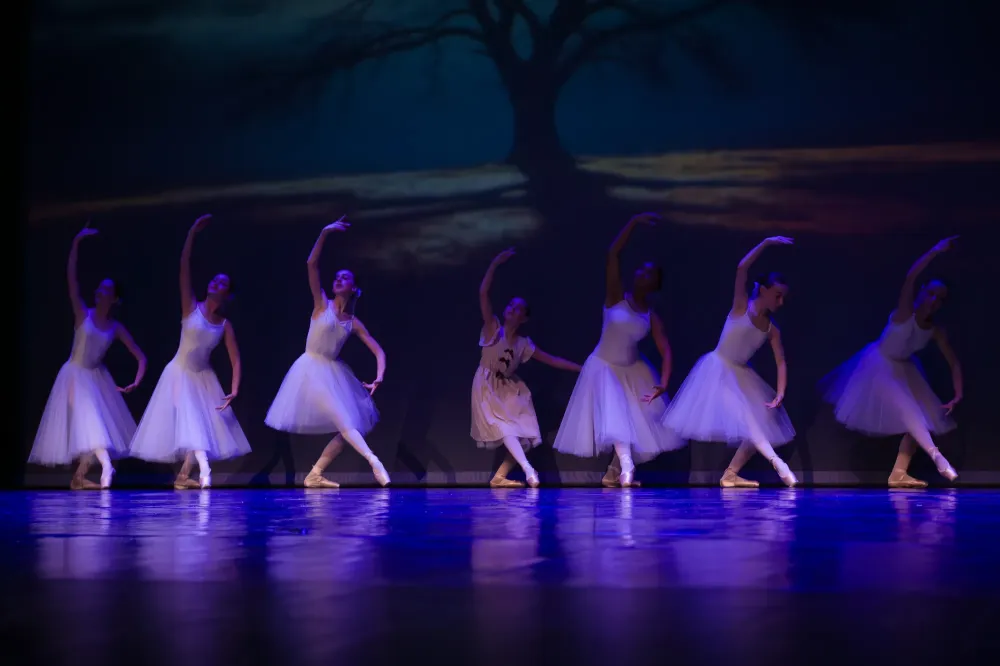 danse classique (3)