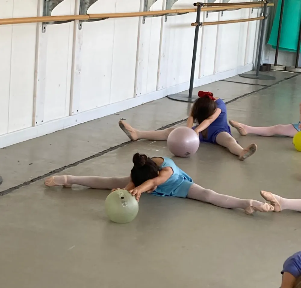 danse classique (6)